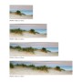 MySpotti Küchenrückwand Dünenpanorama, verschiedene Größen. Sanddüne am Meer.