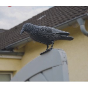 Gardigo Taubenschreck: Raben-Attrappe zur Taubenabwehr auf Dach oder Terrasse.