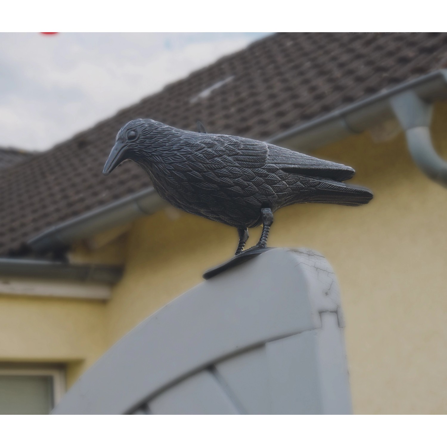 Gardigo Taubenschreck: Raben-Attrappe zur Taubenabwehr auf Dach oder Terrasse.