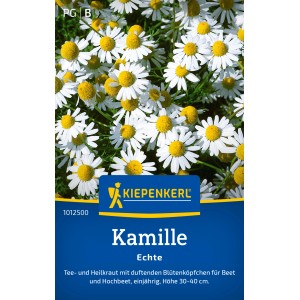 Kiepenkerl Echte Kamille: Einjährige Kräutersamen mit weißen Blüten und gelber Mitte.