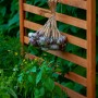 Hellbrauner Dobar Rankgitteraufsatz Kubus 2.0 aus Holz mit Knoblauchbund im Garten.