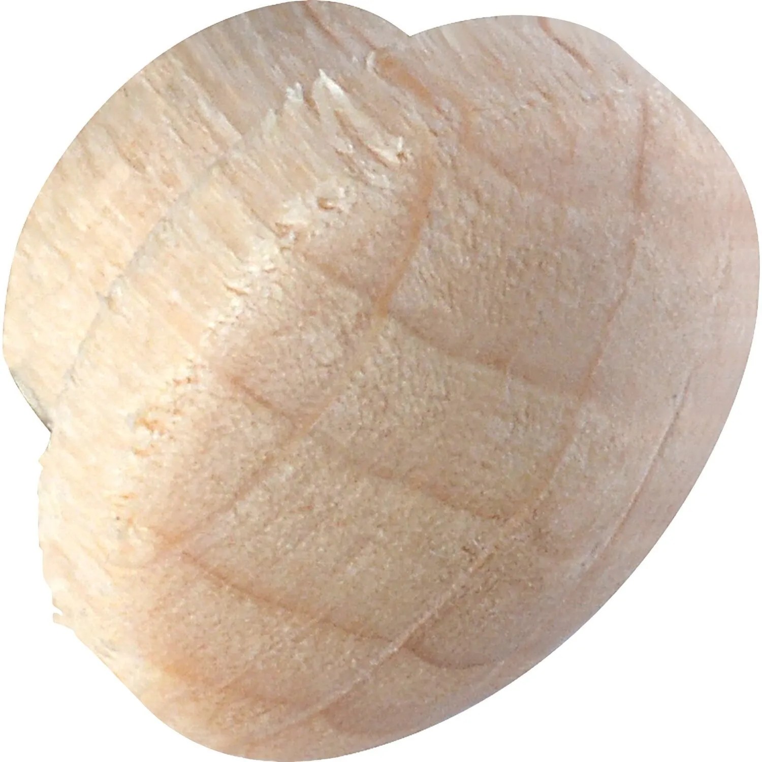 Alles im Griff Holzabdeckkappe Ø 12 mm Zapfen Ø 8 mm Zapfenlänge 4 mm Buche Roh