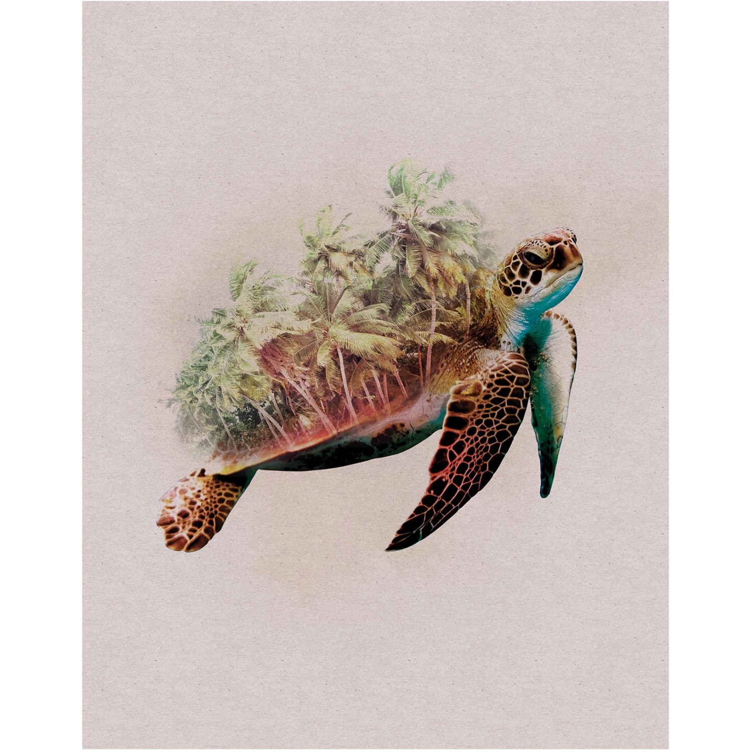 Komar Wandbild Animals Turtle 40 x 50 cm