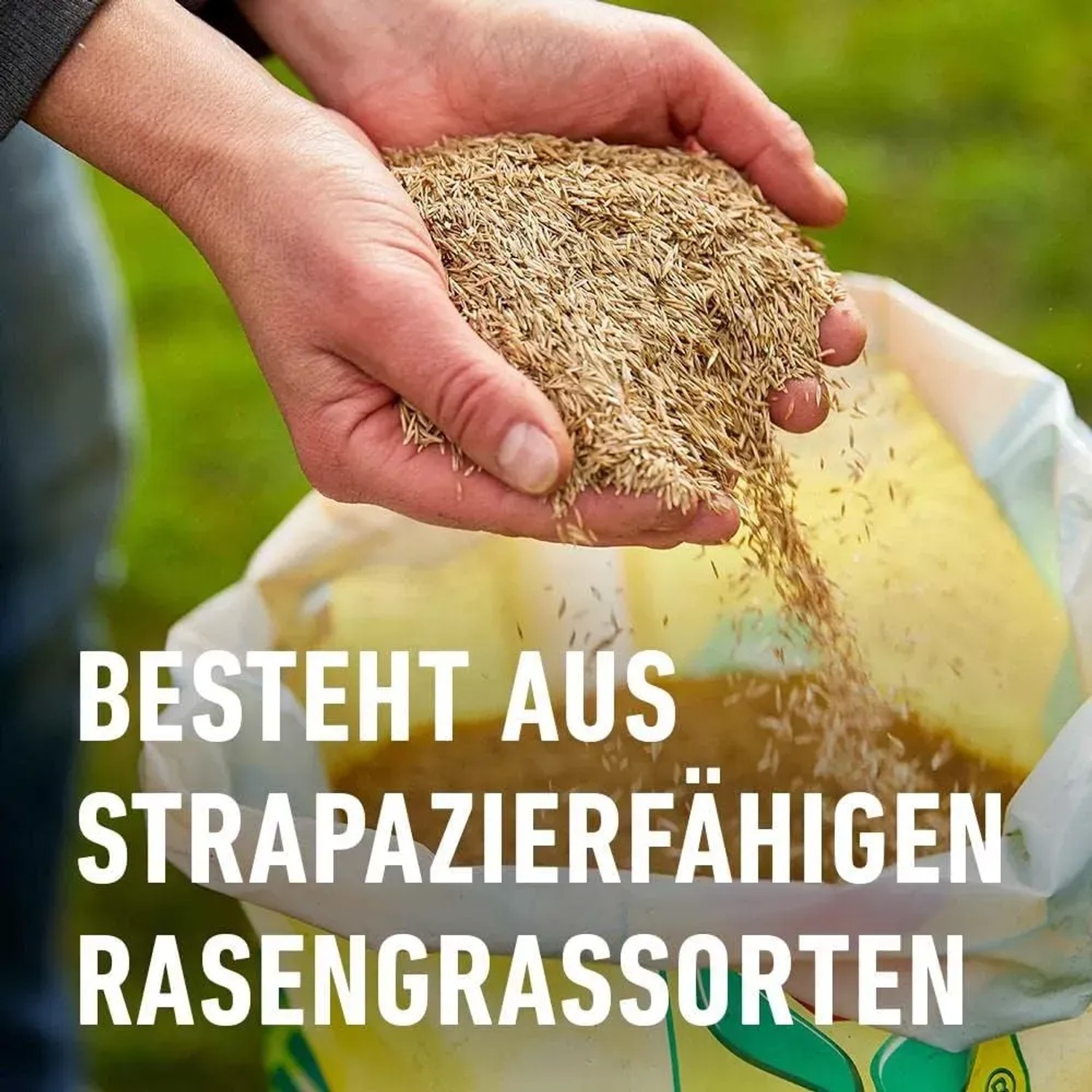 weihnachtsstern pflanze künstlich Kunstblumen | Künstlicher Weihnachtsstern
