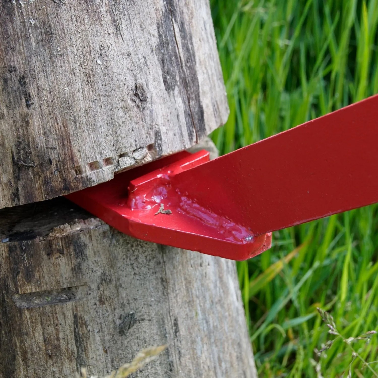 Detailaufnahme: Roter TRUTZHOLM Fällheber im Einsatz am Baumstamm. Gartenhandgerät für effizientes Fällen.
