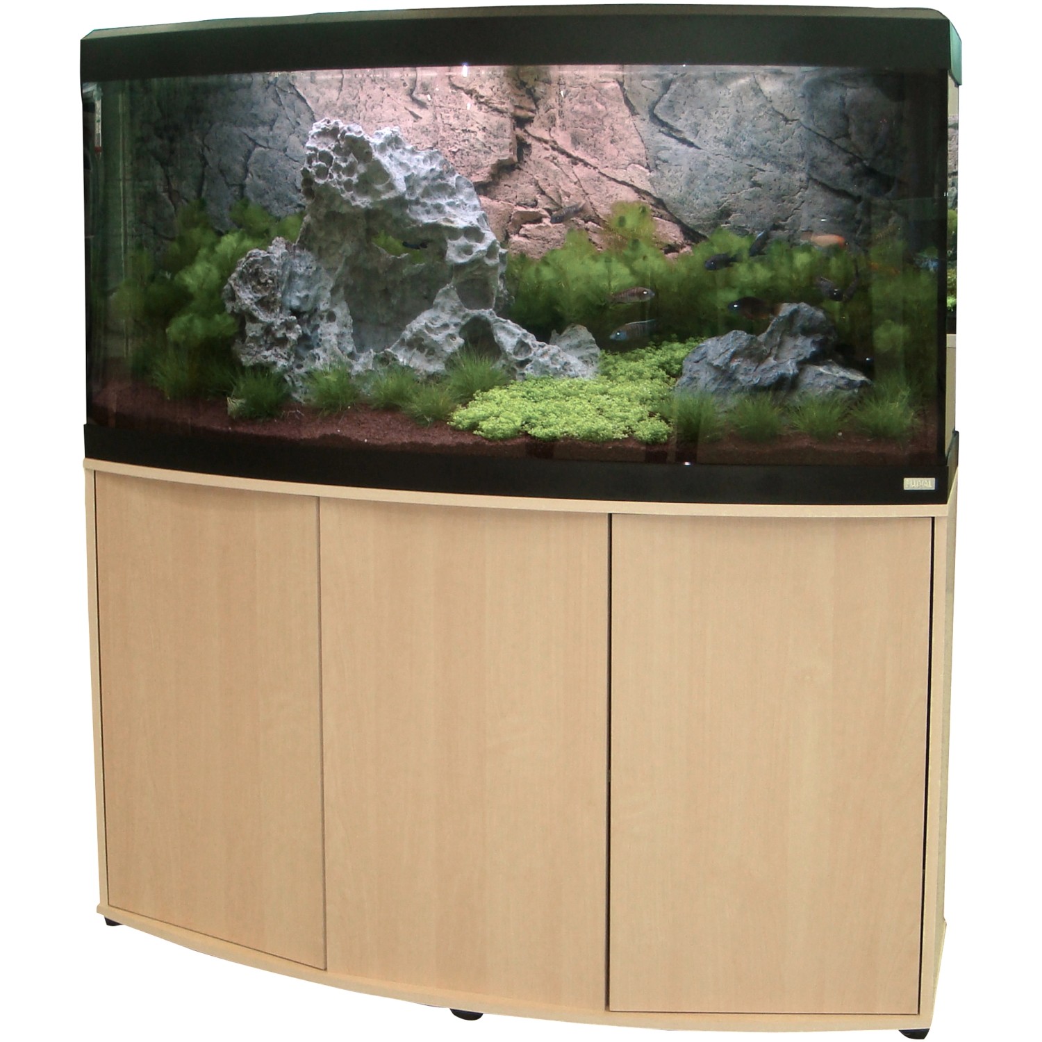 260L Aquarium von Fluval inkl. cheapest Fischen