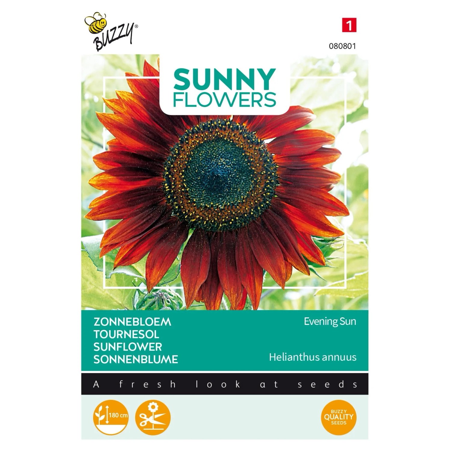 arborix Sonnenblume 'Abendsonne' Buzzy Sunny Flowers Samen Ca. 4 G Warme Blütenfarben