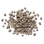 Westland Bims-Granulat, 10 l, für eine gute Drainage in Pflanzgefäßen und Hochbeeten.