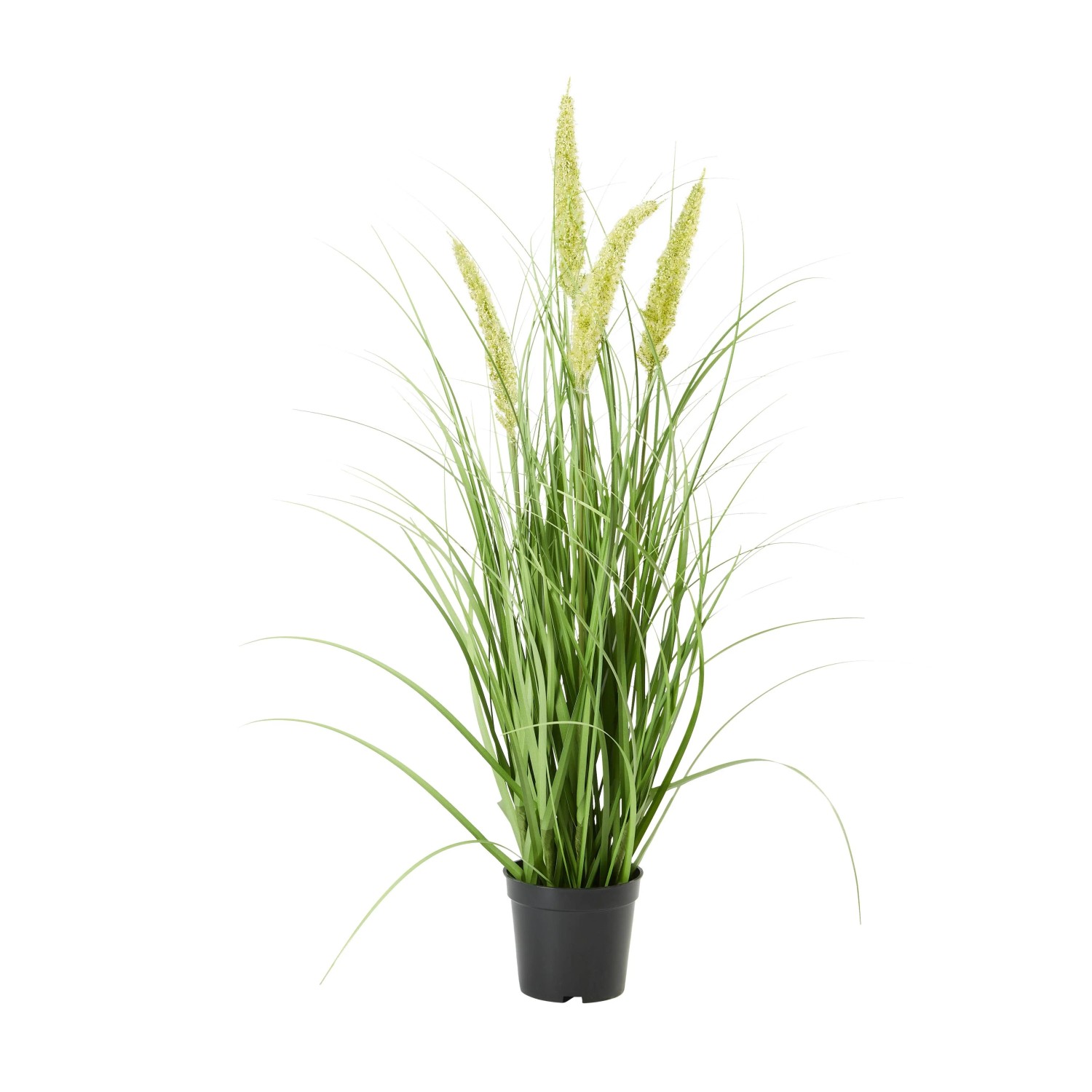 Modern Living Kunstpflanze Penisetum inkl. Topf