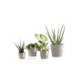 Ecopots Amsterdam Mini Pflanztöpfe, 4er Set, Taupe. Kleine Töpfe für Zimmerpflanzen, ideal für Fensterbank.