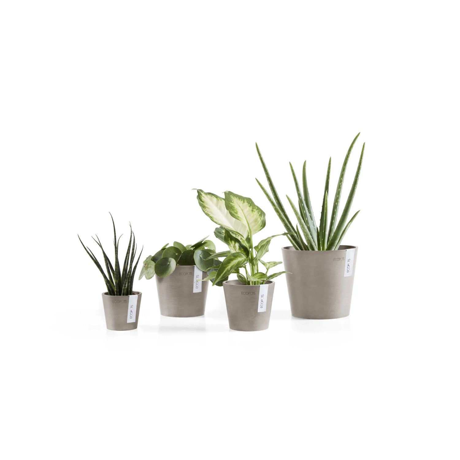 Ecopots Amsterdam Mini Pflanztöpfe, 4er Set, Taupe. Kleine Töpfe für Zimmerpflanzen, ideal für Fensterbank.