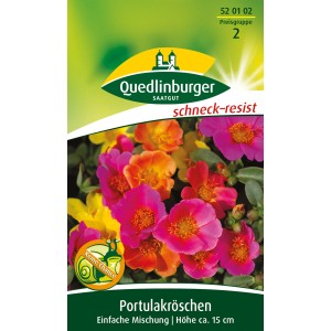Quedlinburger Portulakröschen Blumensamen, einfach blühende Mischung in Gelb, Orange und Pink.