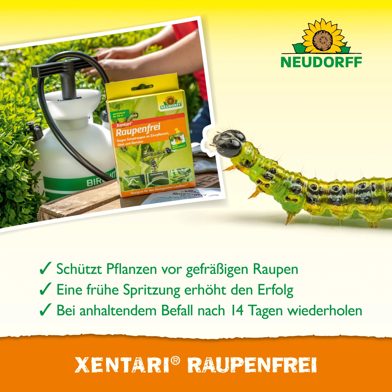 Neudorff Raupenfrei Xentari: Spritzmittel gegen Raupen, mit Sprühgerät und Raupe im Detail.