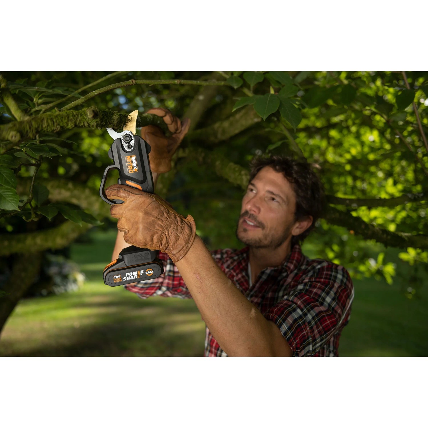 Worx Astschere WG330E.9: Mann schneidet Ast mit Akku-Astschere im Garten.