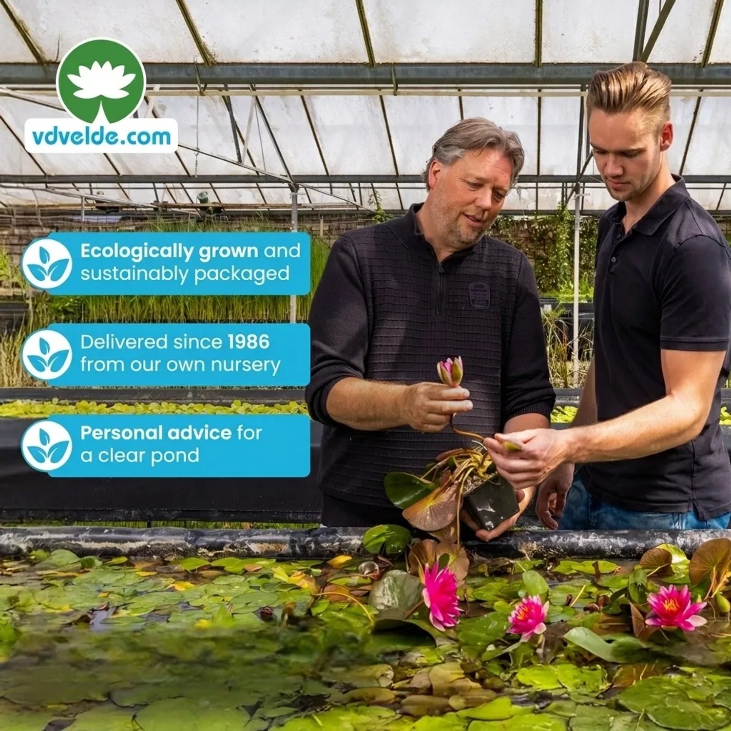 Vdvelde Pond Care   Teichpflegeset Bis 20.000L   Gegen Algen Schlamm & Trübung_7
