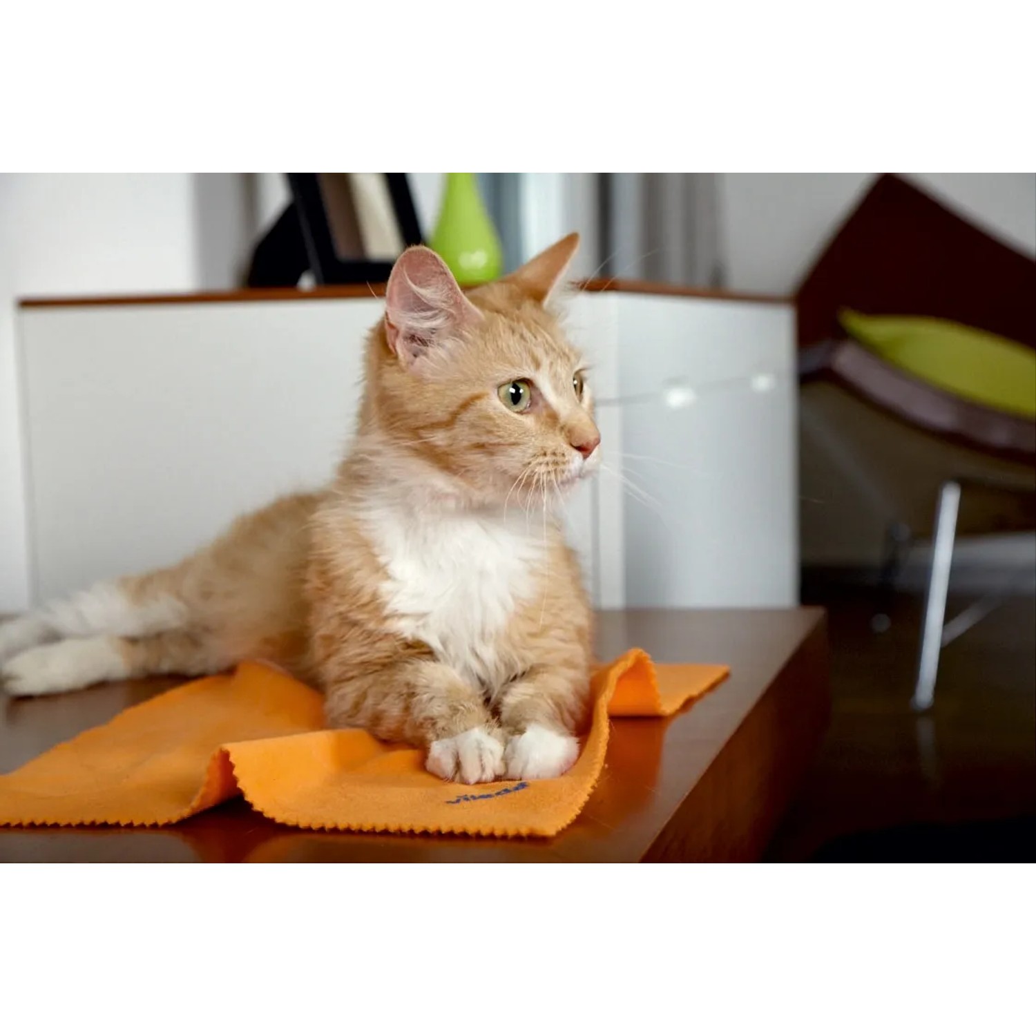 Katze liegt auf orangem Vileda Mikrofaser Staubtuch auf Tisch.