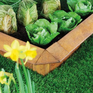 Bellissa Schneckenblech Corten als Beeteinfassung mit Salatpflanzen und Narzissen im Garten.