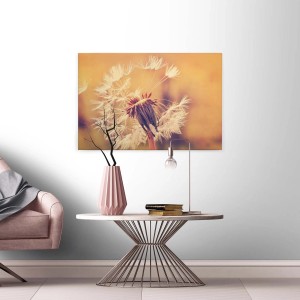 Wandbild mit Pusteblume in Orange/Braun, Leinwand auf Keilrahmen für Wohnraum.