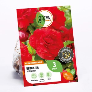 Verpackung rote, gefüllte Begonien von GROW by OBI, ca. 25cm hoch.