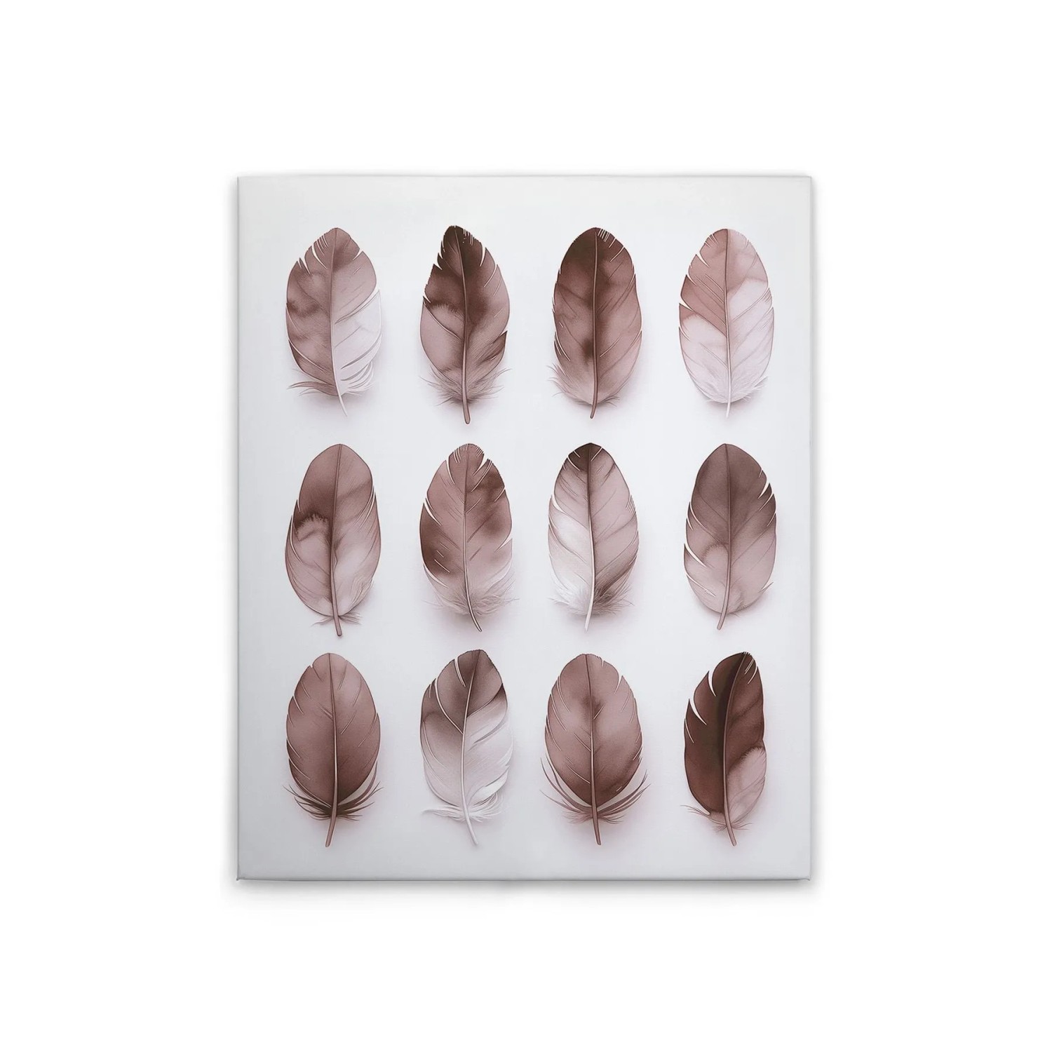 Tadessi Leinwandbild - M1-No.51795 - Federn Rose - 40 x 50 cm - Querformat