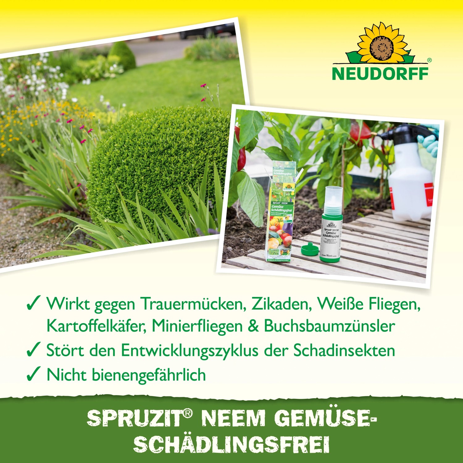 Neudorff Spruzit NEEM GemüseSchädlingsfrei 75ml: Mittel gegen Schädlinge an Pflanzen.