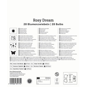 Kiepenkerl Mega Pack Rosy Dream Blumenzwiebeln, Mischung aus Hyazinthen, Krokussen, Narzissen, Tulpen und Anemonen.