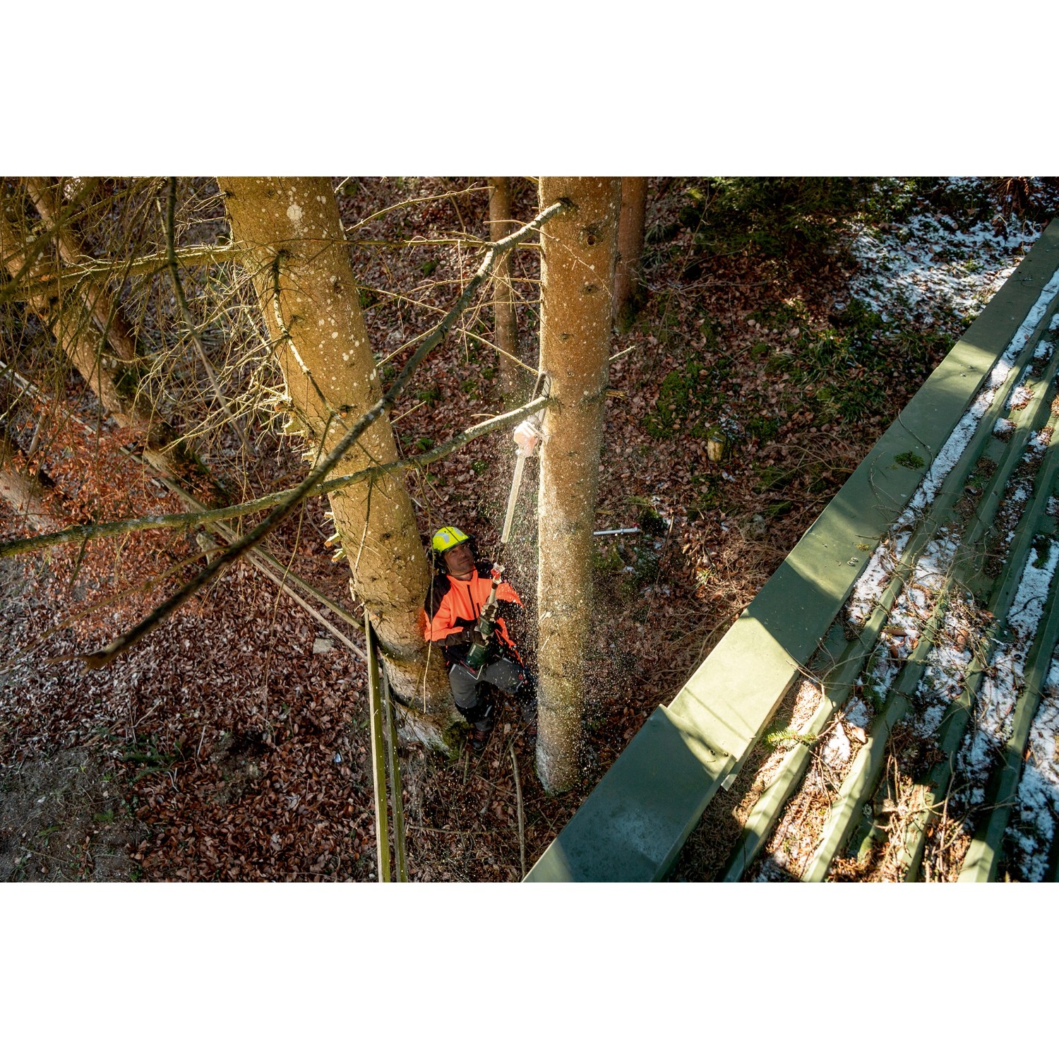 Mann mit Metabo Hochentaster-Aufsatz MA-MS 25 bei Baumpflegearbeiten.