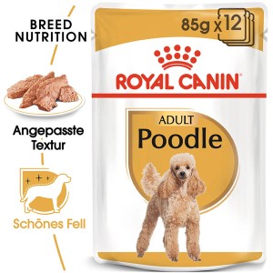 Royal Canin Poodle Adult Nassfutter, 12 x 85g Portionsbeutel für Pudel. 