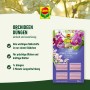 Compo Düngestäbchen für Orchideen, 20 Stück, für eine einfache und langanhaltende Nährstoffversorgung.