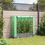 Hellgraues vidaXL Hochbeet mit Gewächshaus-Aufsatz im Garten. Rattan-Optik, 120x40x123 cm.