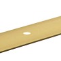 Arcansas Übergangsprofil, Aluminium, 2 mm x 30 mm x 900 mm, Gold