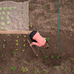 Frau gießt Pflanzen im Garten mit einem grünen Relaxdays Bewässerungsschlauch (3 m).