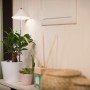 Weiße Parus LED Pflanzenlampe Sunlite 7W von Venso beleuchtet Zimmerpflanze im Topf.
