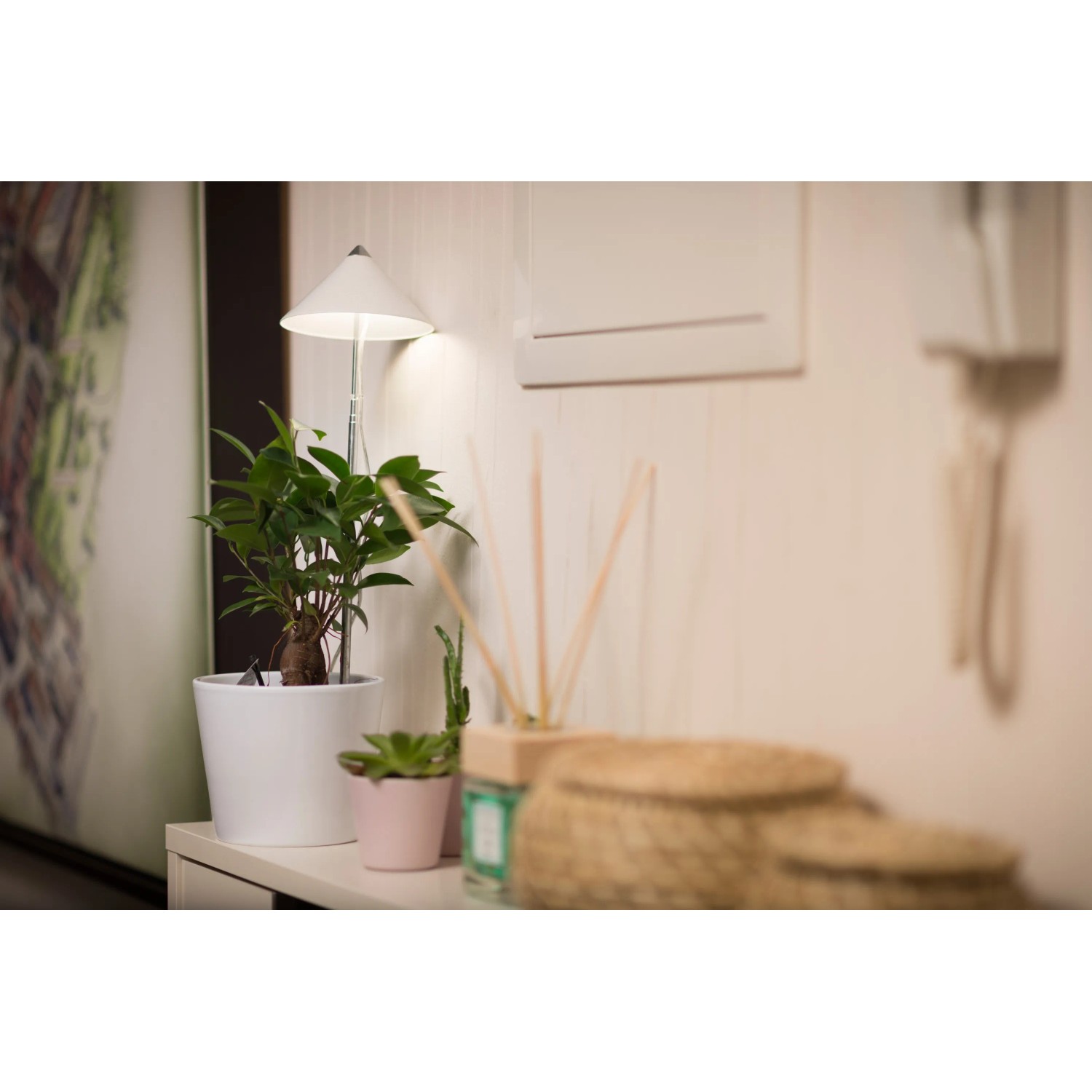 Weiße Parus LED Pflanzenlampe Sunlite 7W von Venso beleuchtet Zimmerpflanze im Topf.