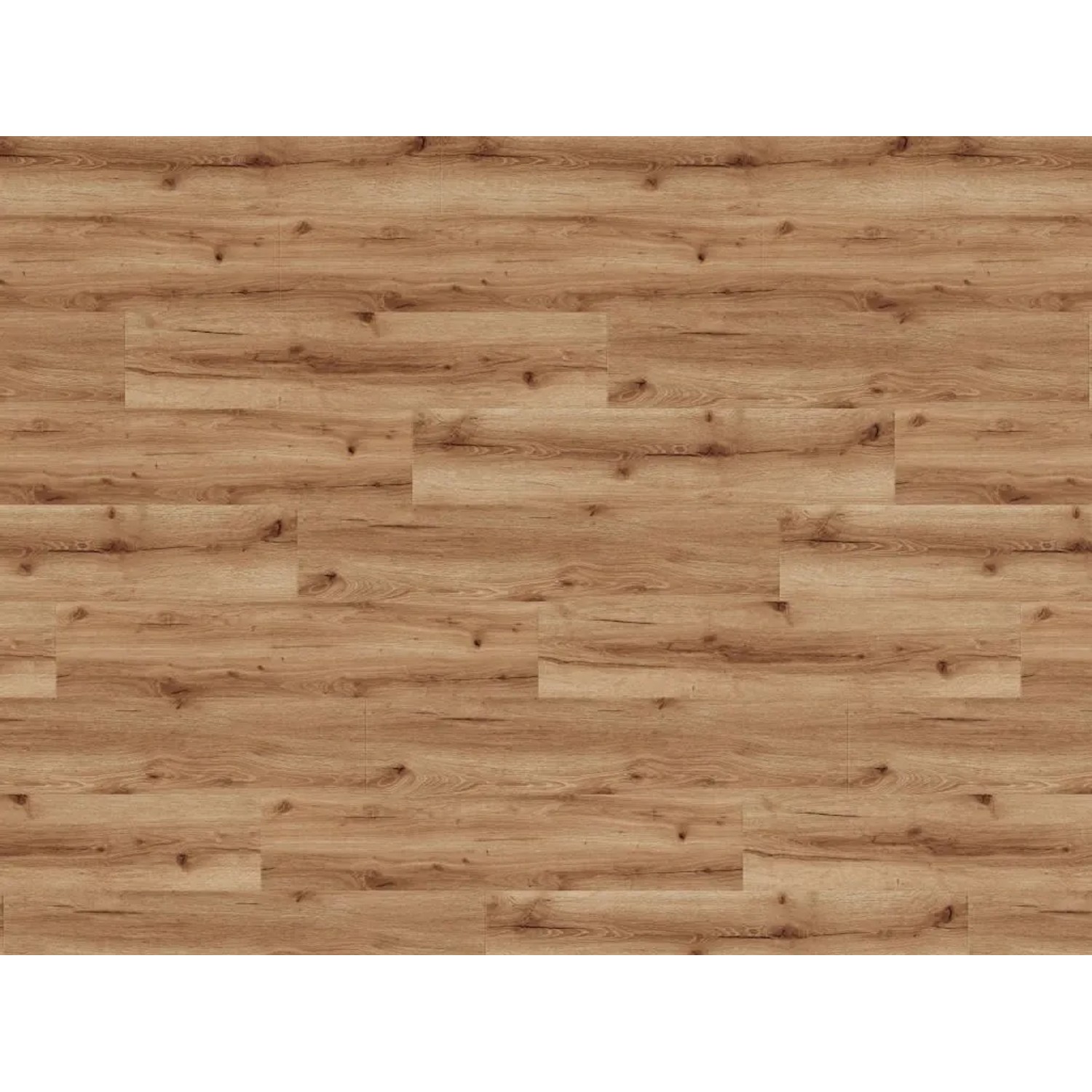 Timefloor Vinylboden SPC Rigid Eclipse50Plus Trittschall Landhausdiele