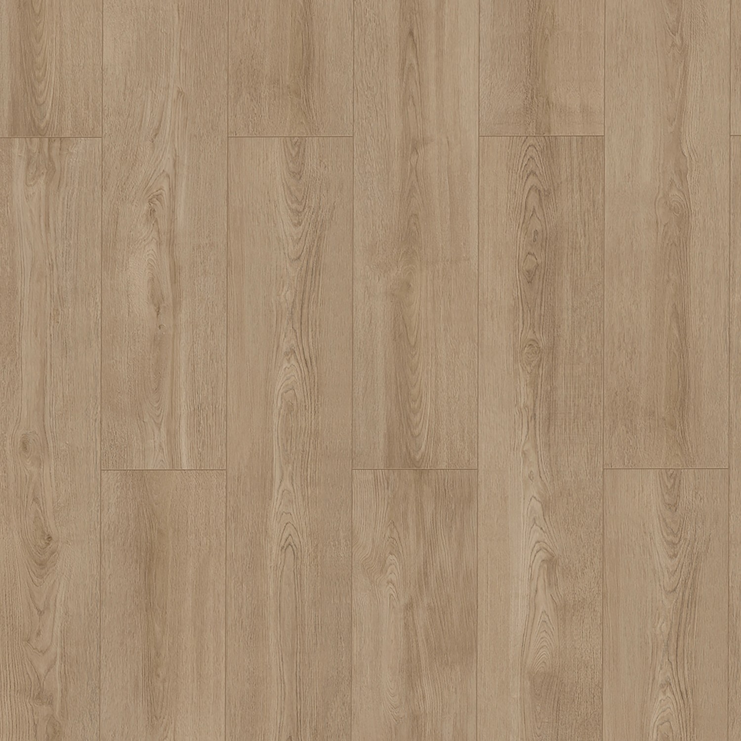 ECO4ALL Pro Vinylboden Eiche Roma, helle Holzoptik, Klick-System für einfache Verlegung.