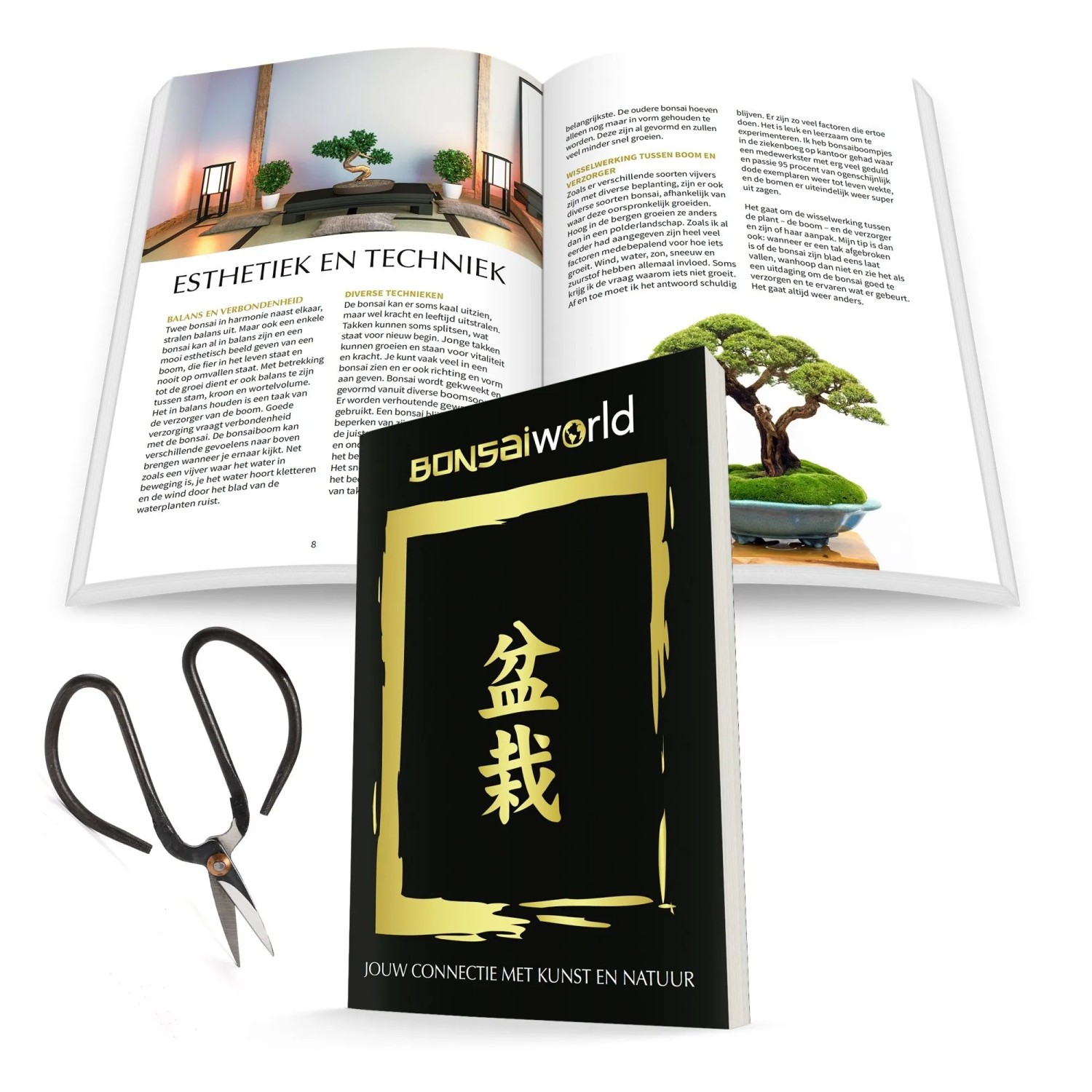 Bonsai Starterset: Schwarze Schere, Pflegebuch 'Bonsaiworld' und Anleitung für Hausbäume.