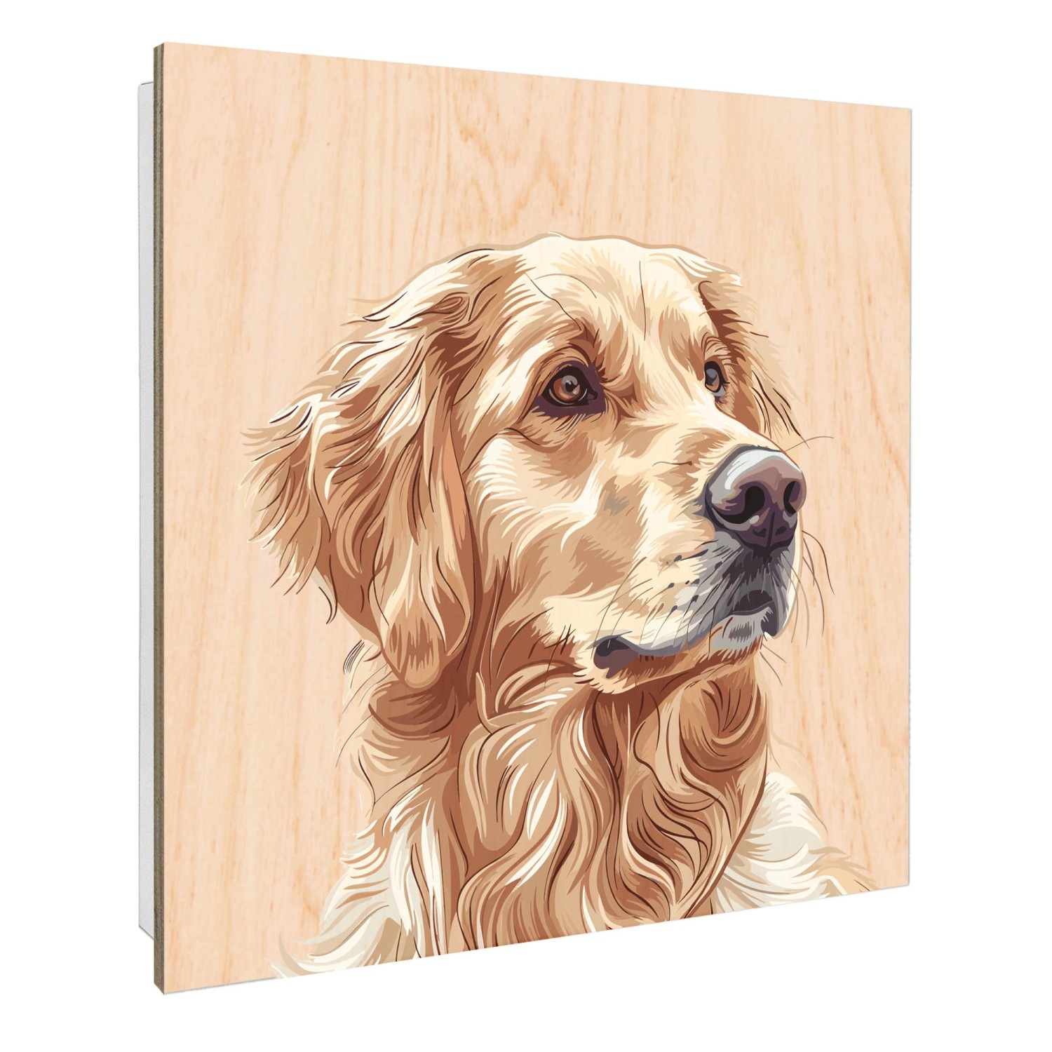 Banjado Großer Schlüsselbox Holz 30x30cm Weiß Scharnier Rechts 50 Haken Sch günstig online kaufen
