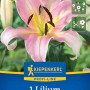 Kiepenkerl Baumlilie Urandi Blumenzwiebel mit zartrosa Blüte und gelbem Zentrum.