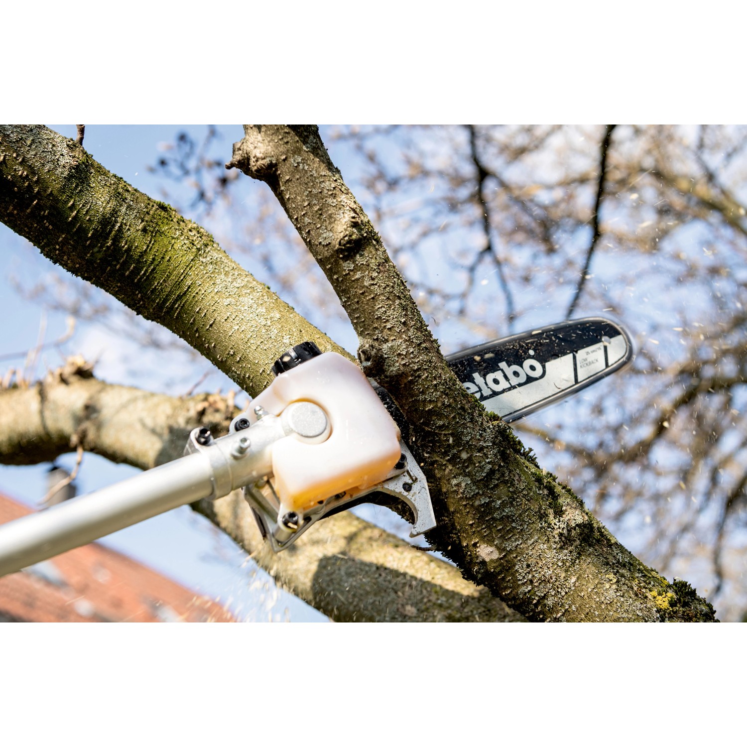 Metabo Hochentaster-Aufsatz MA-MS 25 beim Beschneiden eines Astes. Akku-Heckenschere mit Öltank.