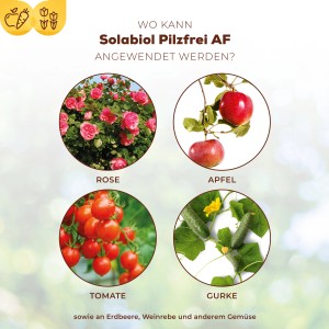Anwendungsbereiche von Solabiol Pilzfrei AF: Rose, Apfel, Tomate, Gurke.