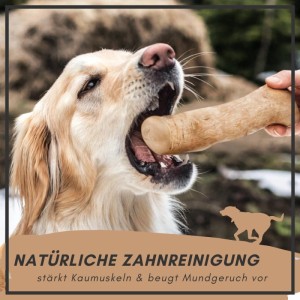 Supravit Kaffeeholz Kauknochen Größe S Kauspielzeug für Hunde