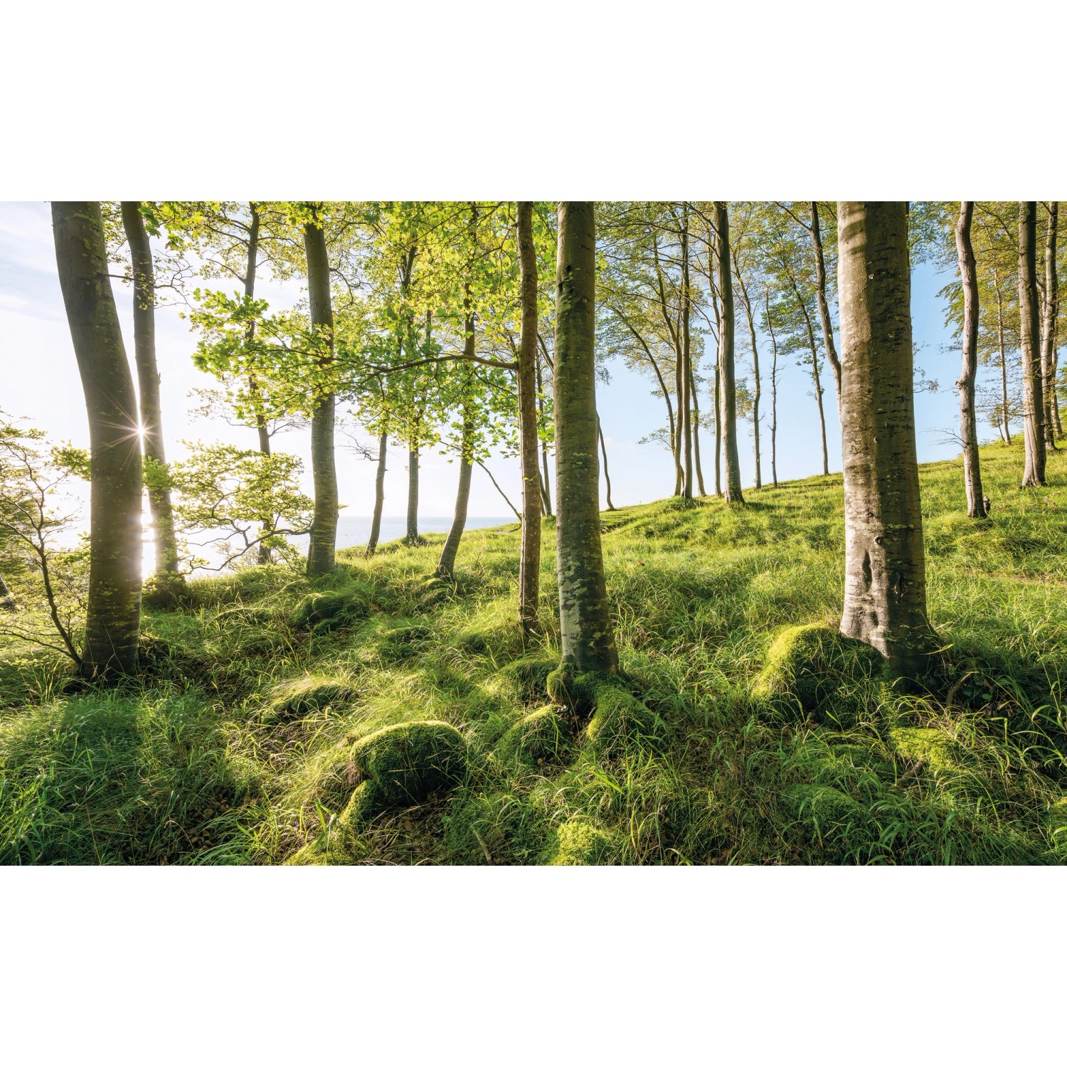 Sanders & Sanders Fototapete Landschaft Grün und Blau 450 x 280 cm 612683 günstig online kaufen