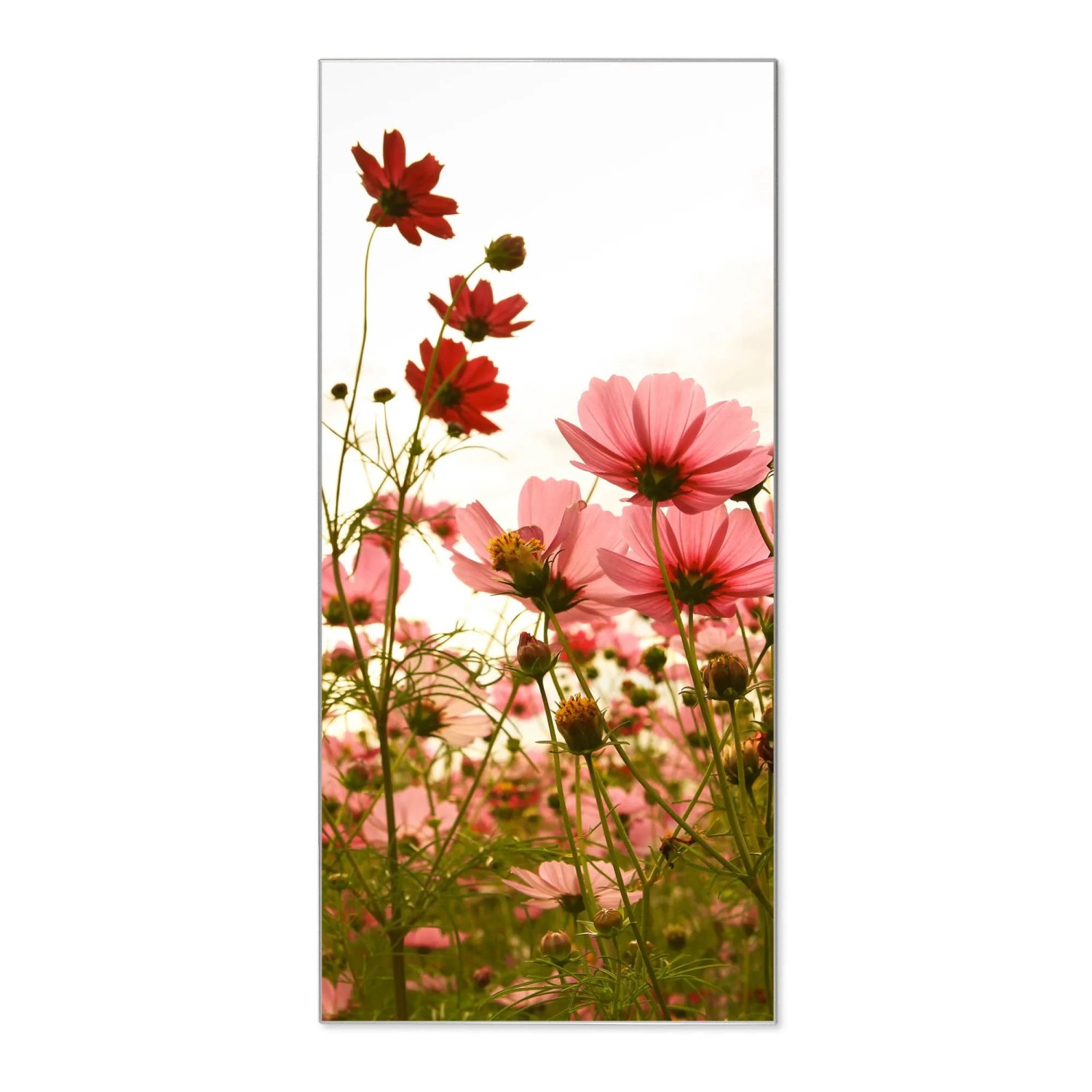 Banjado Magnettafel 37x78cm Magnetwand  Silber Aus Metall Magnetpinnwand Pi günstig online kaufen