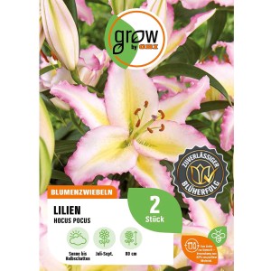 Verpackung der GROW by OBI Lilie Oriental Hocus Pocus Blumenzwiebeln mit weiß-rosa Blüte.