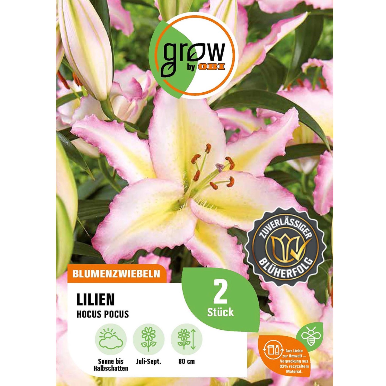 GROW by OBI Lilie Oriental Hocus Pocus Höhe ca. 80 cm Lilium oriental günstig online kaufen