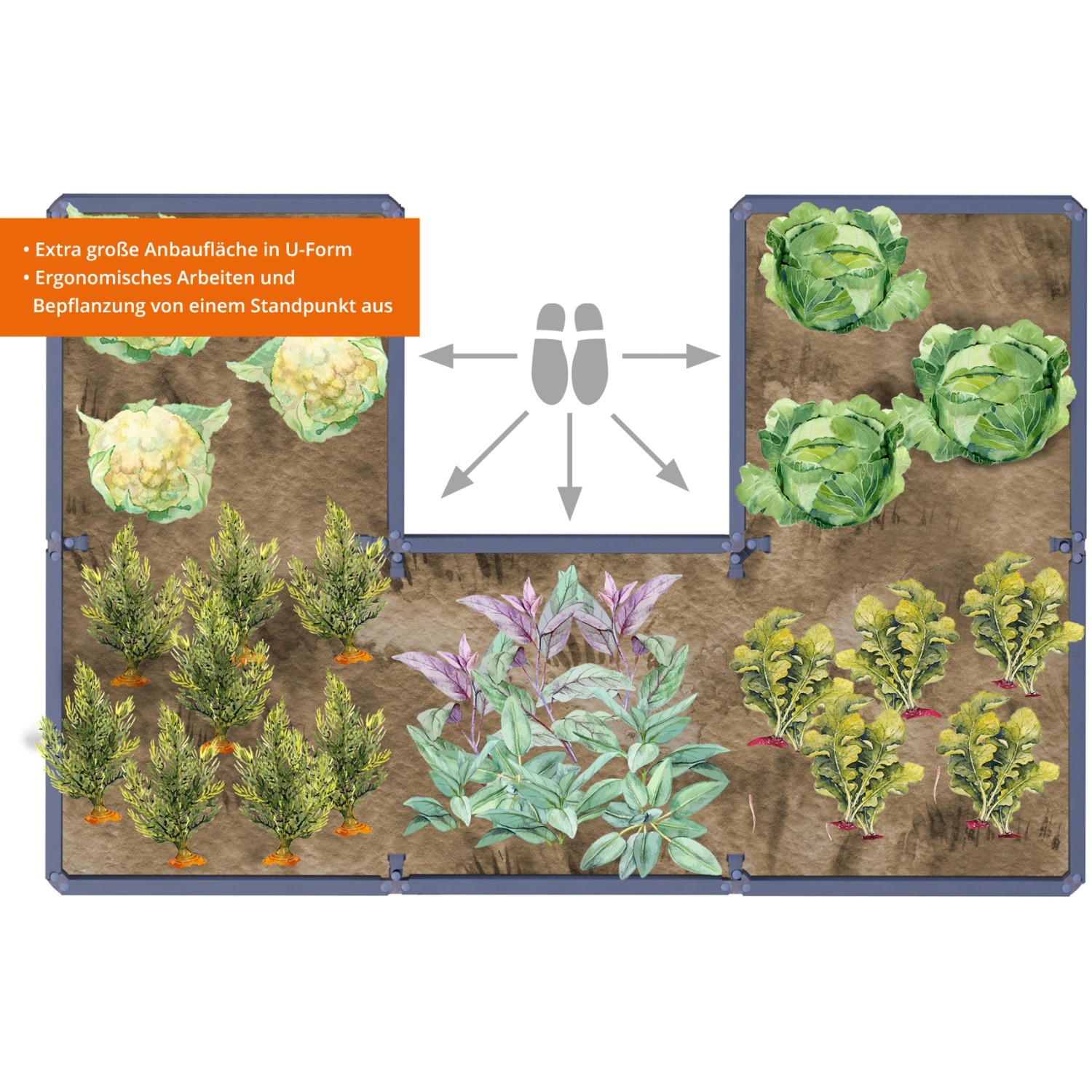 Garantia Hochbeet-System U L Ergo Quadro Wood mit Bepflanzung, U-Form für große Anbaufläche.