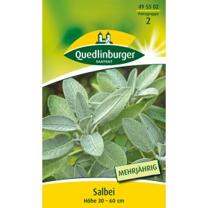 Packung Quedlinburger Salbei-Samen, mehrjährige Kräutersamen für Garten und Küche.