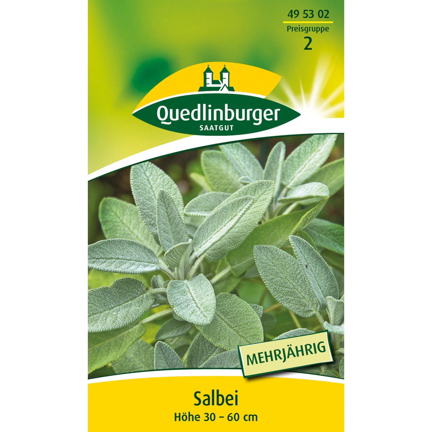 Quedlinburger Salbei