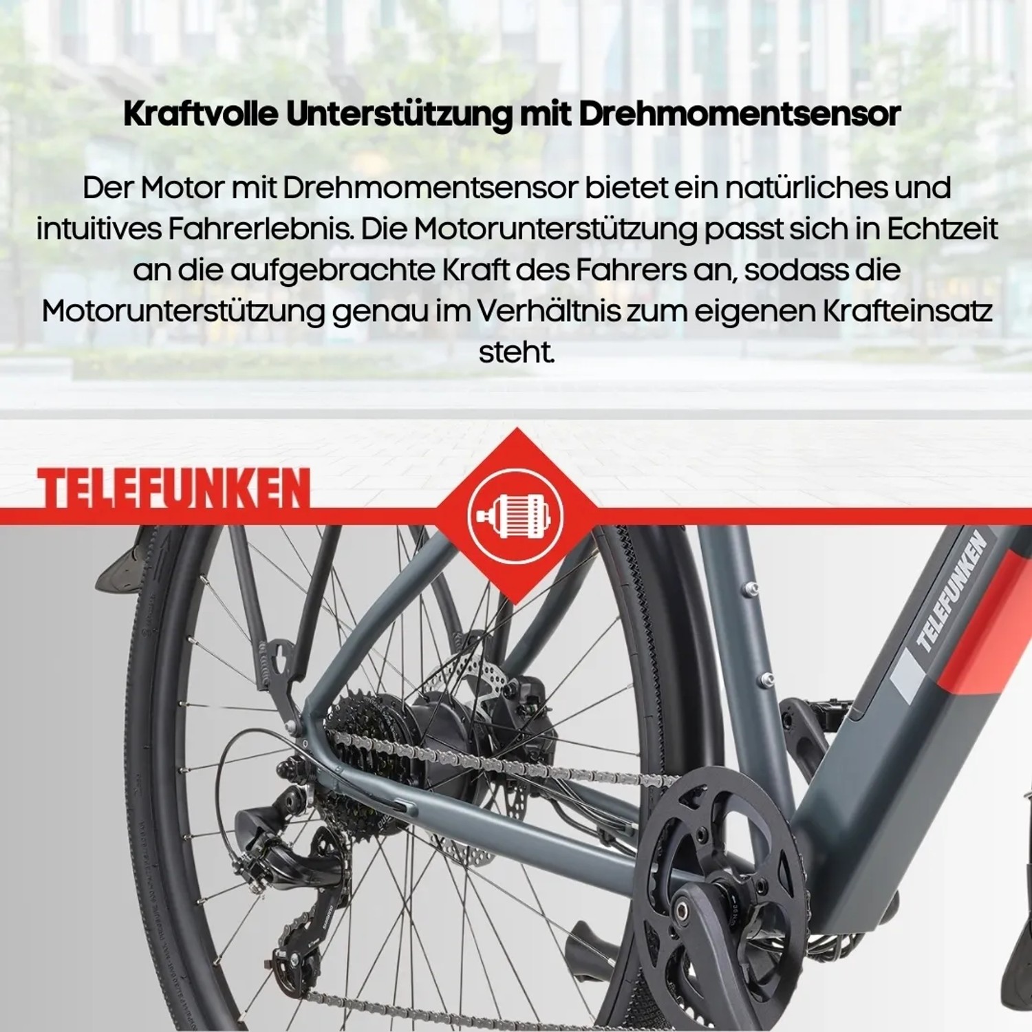 Detailaufnahme Hinterrad des grauen Telefunken E-Bikes UH210 Urban mit 7-Gang-Schaltung.